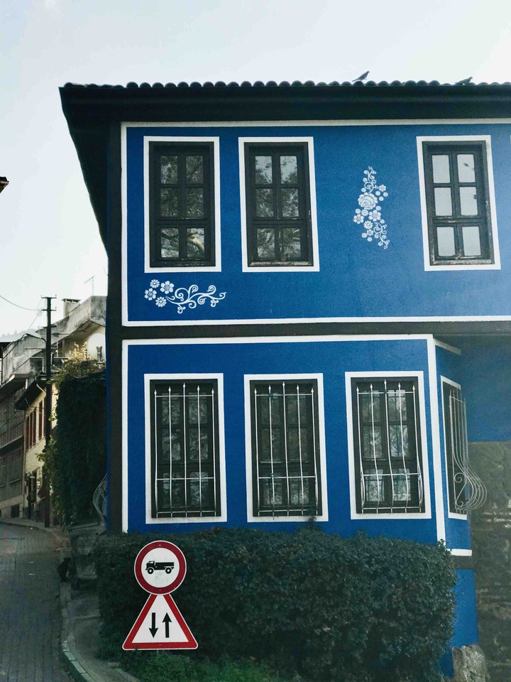 Blue House