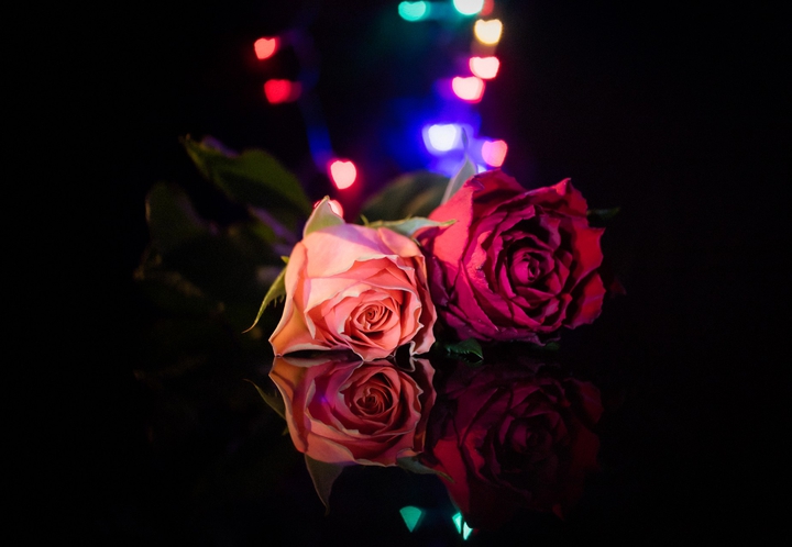 ?flowers?