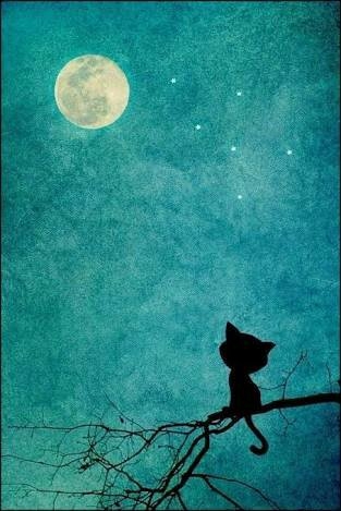luna