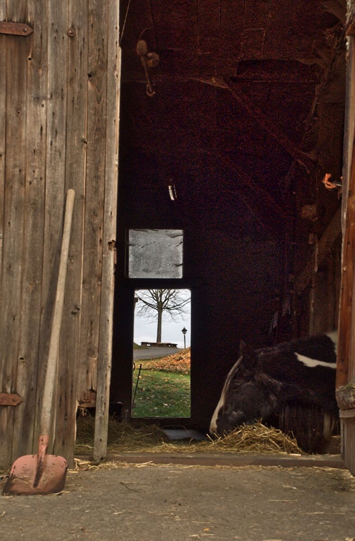 the winter stand before the door