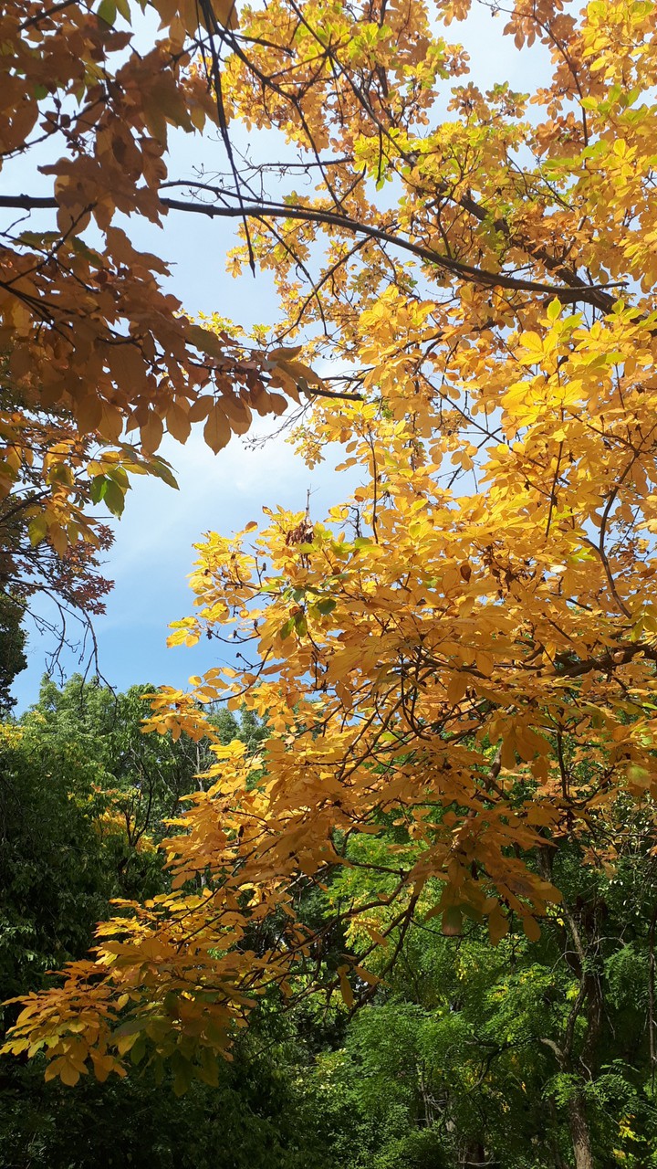 September in Bishkek