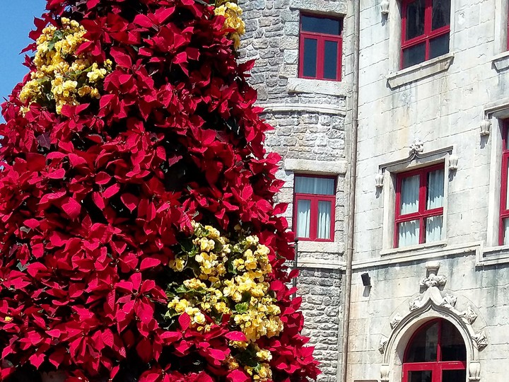 Flower castle