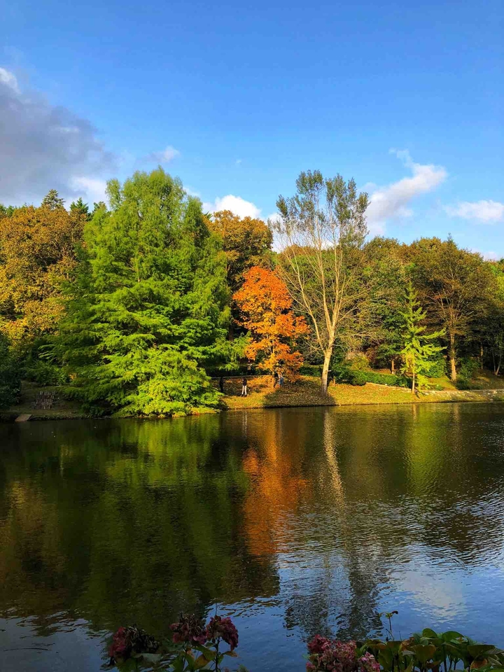 Nature