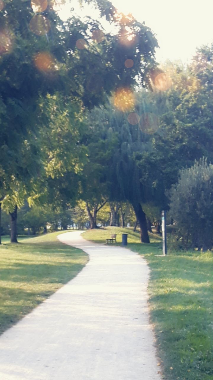 Nature
