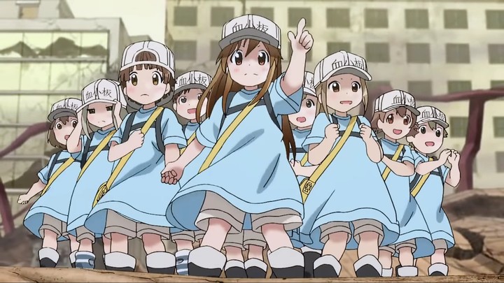 Cells at work !