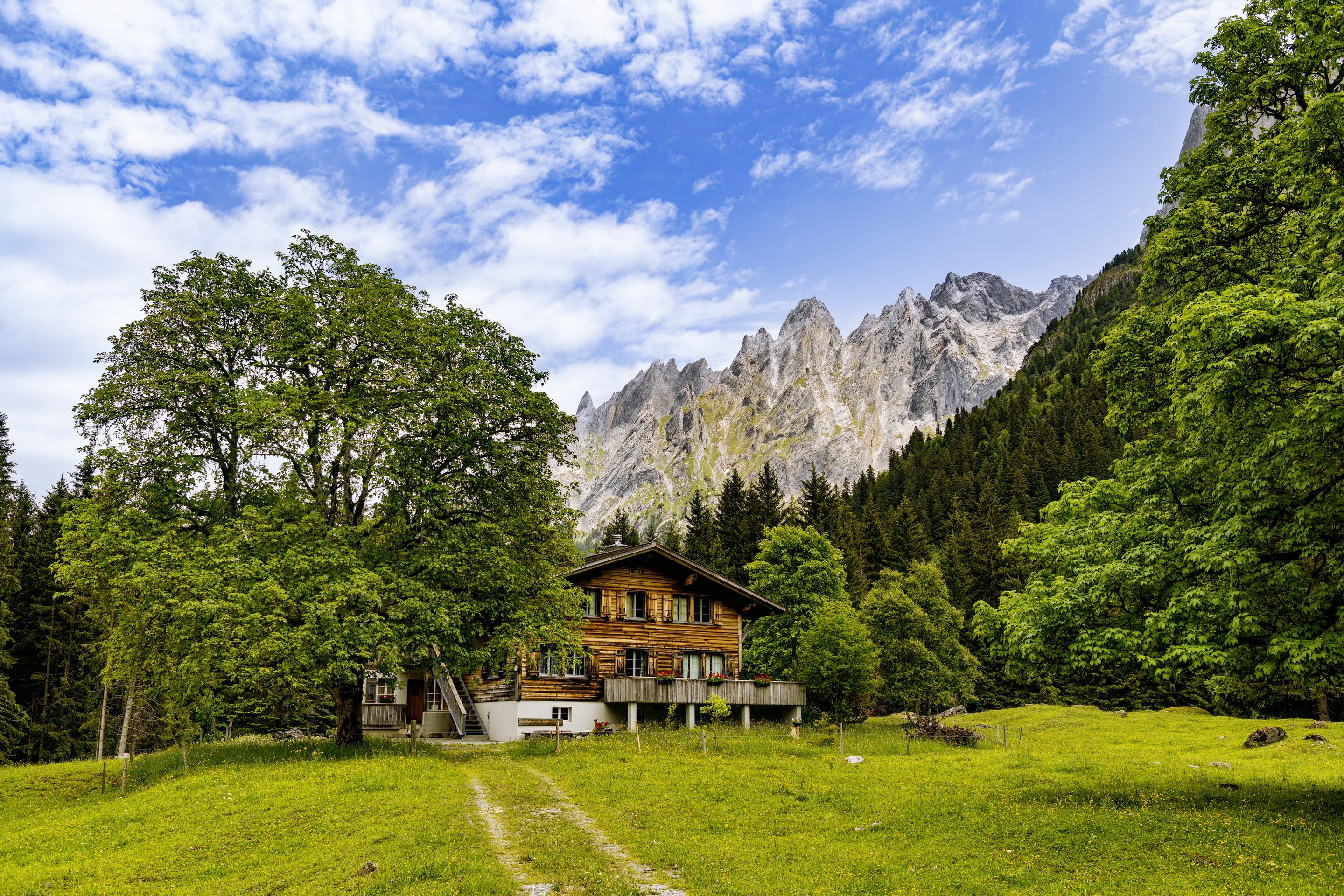 sfondi tree, landscape