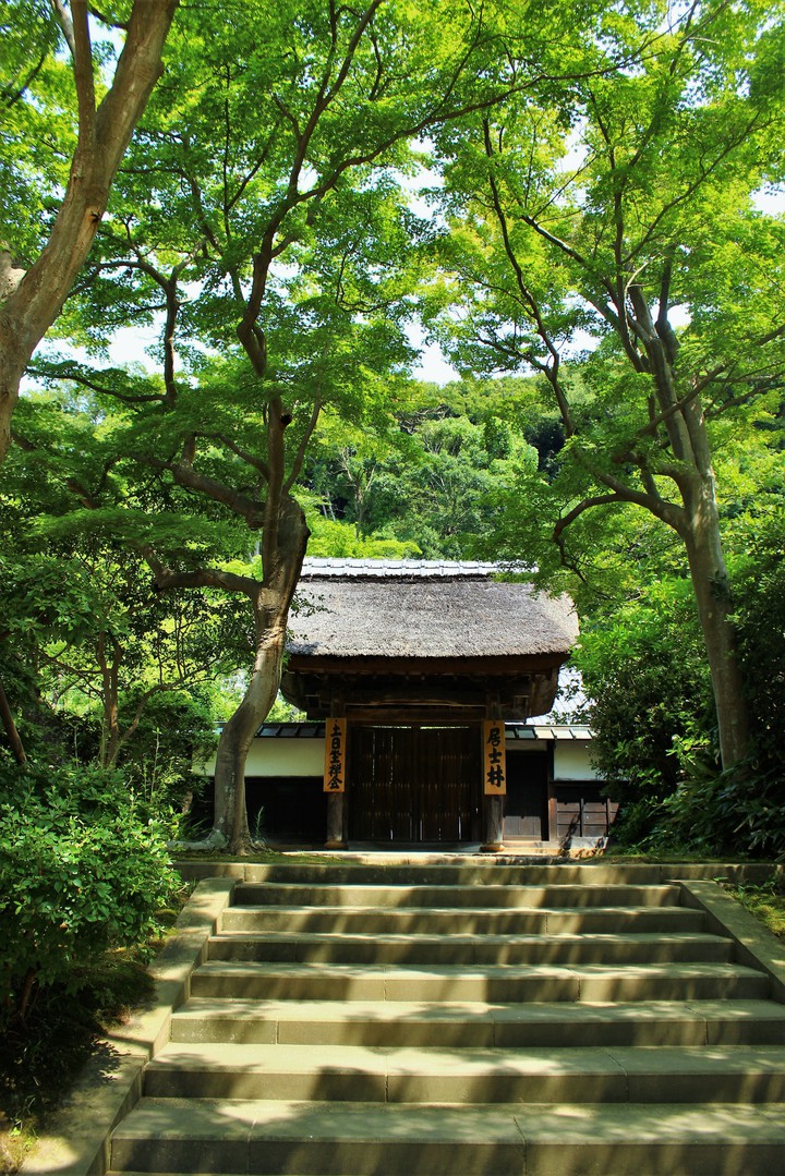 nippon
