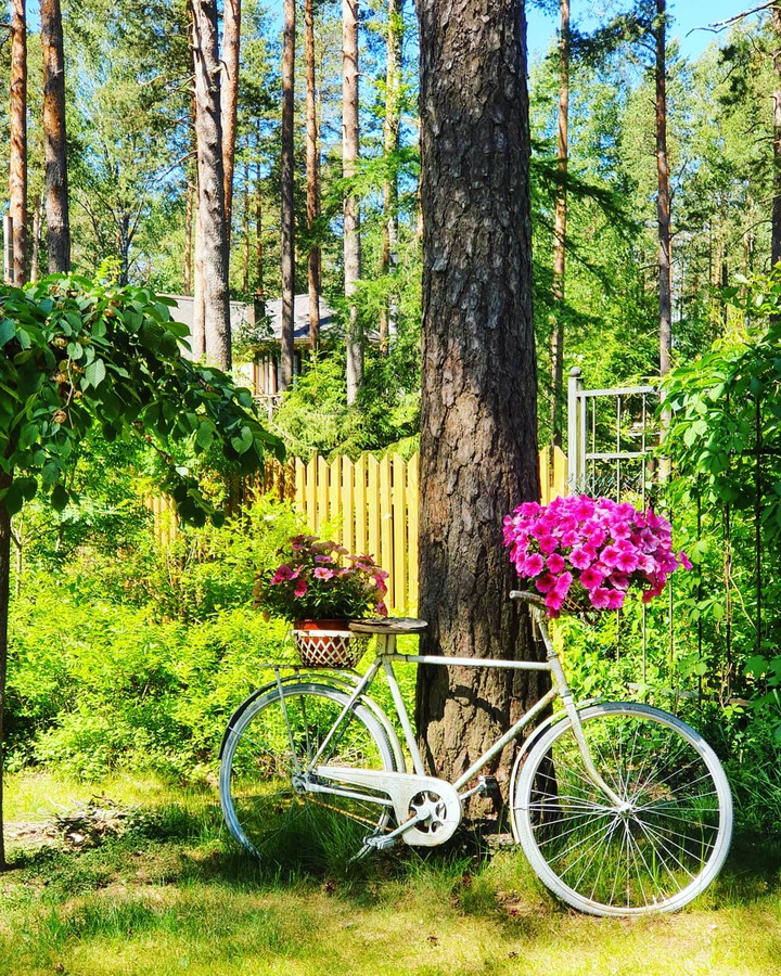 summer vibes