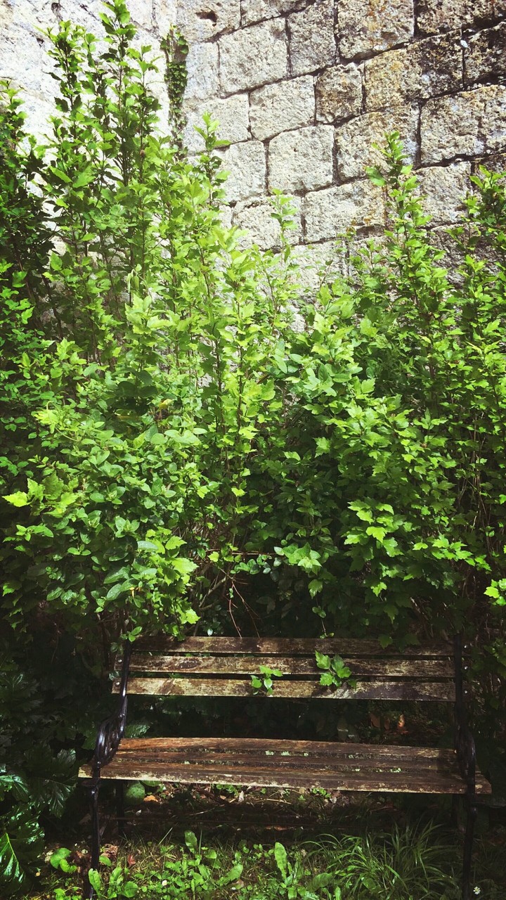 sitting in the green