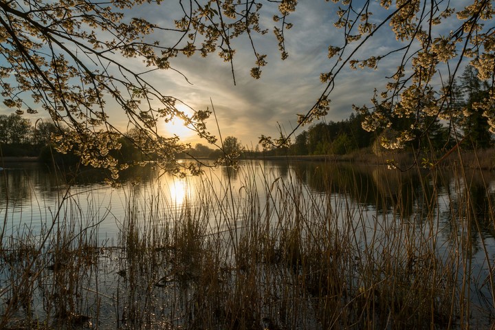 Oedlerteich sunset