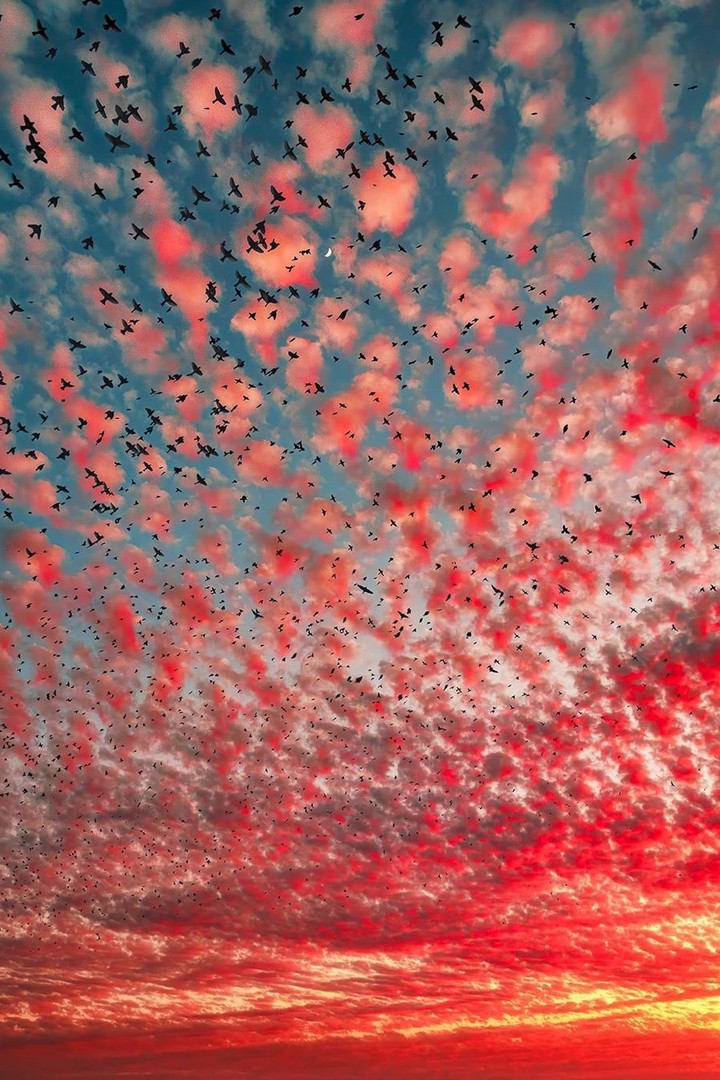 sky