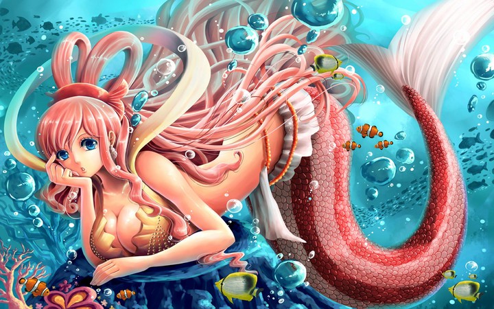 • SHIRAHOSHI •