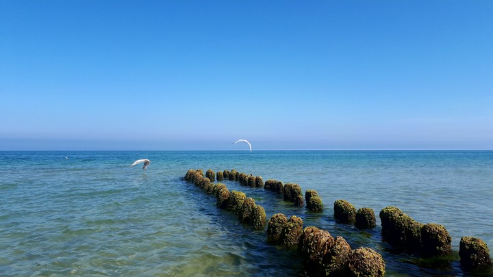 sea Baltyckie