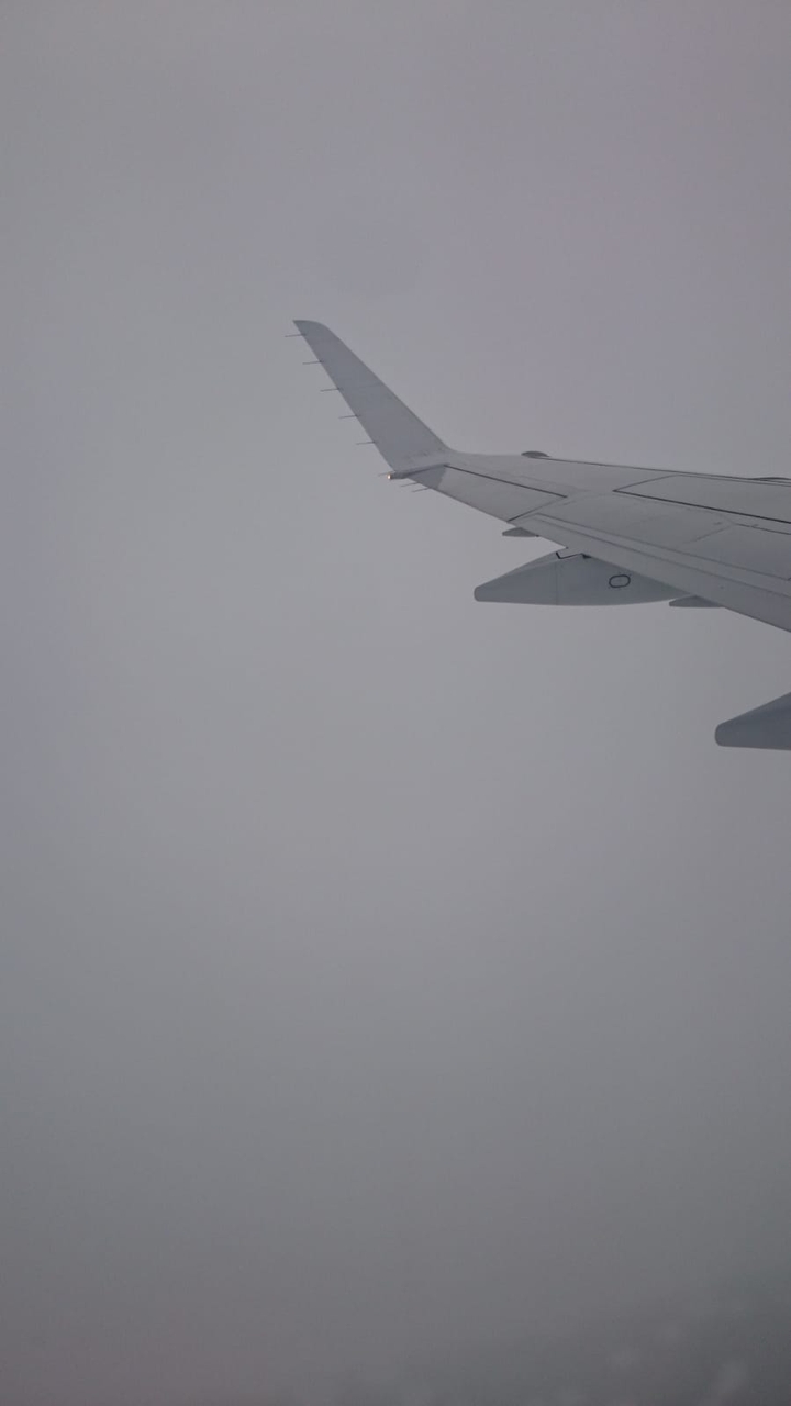 flight