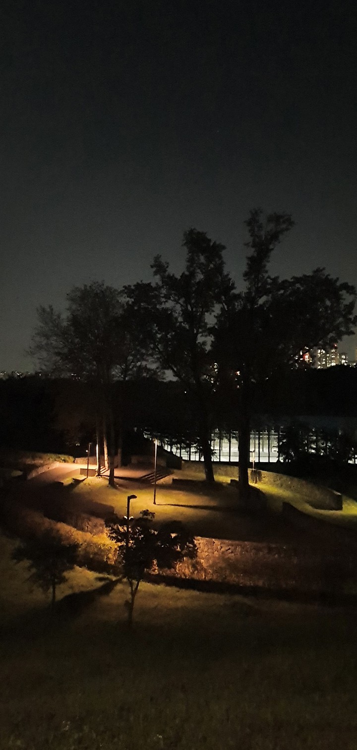 Night garden