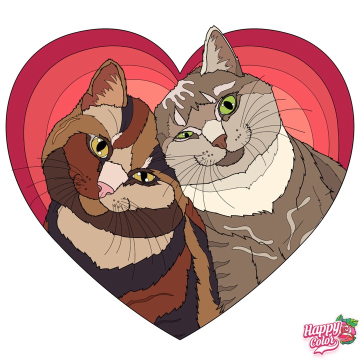Gatos