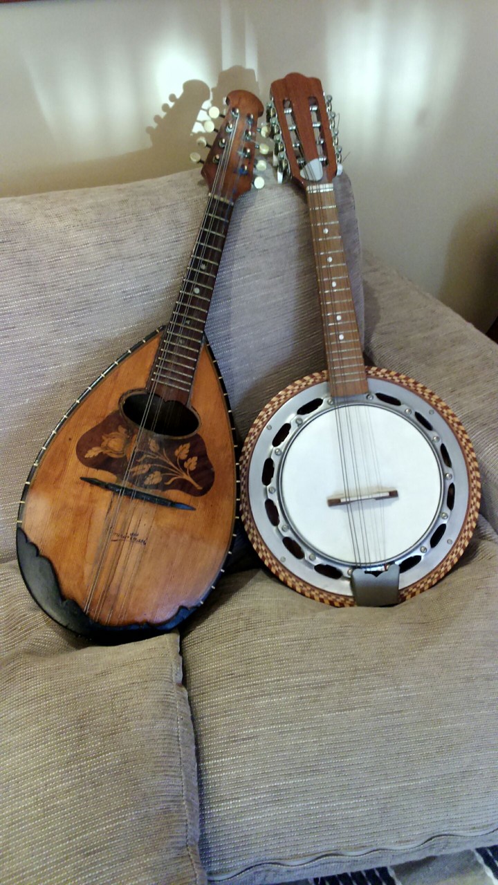 mandolini in musica!
