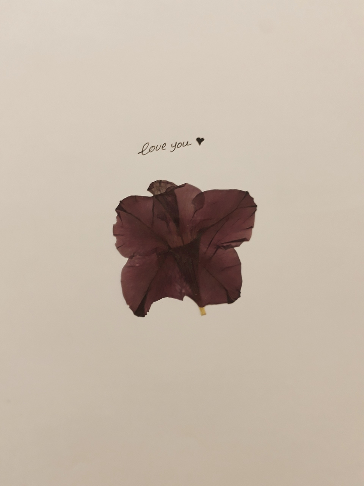 rose
