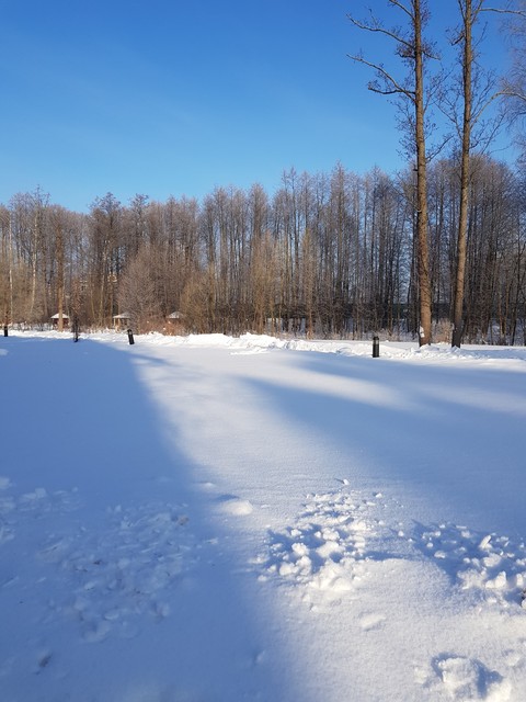 снег