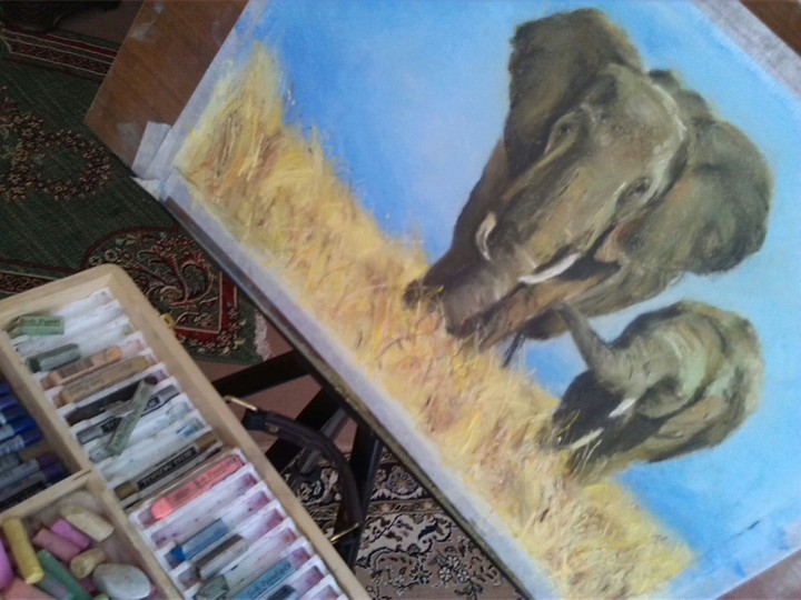 elephants&me