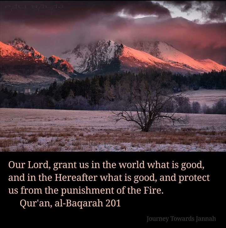 Journey Towards Jannah