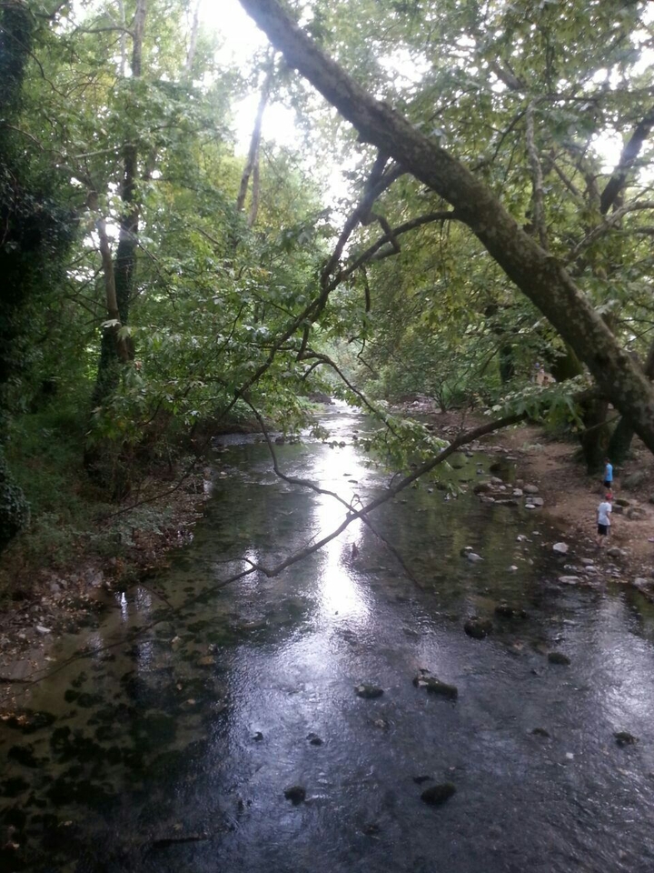 river and cold water