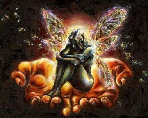 fairy
