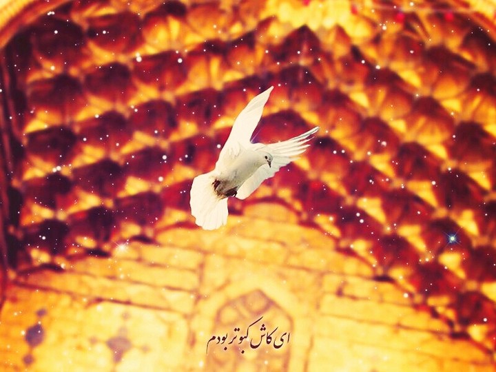 السلام علیک یا علی ابن موسی الرضا