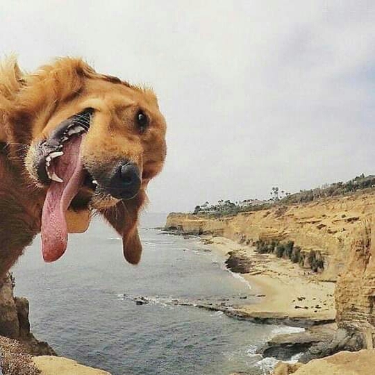 ❤