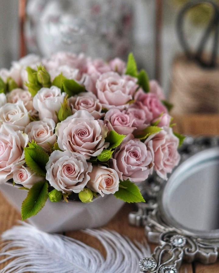 Roses