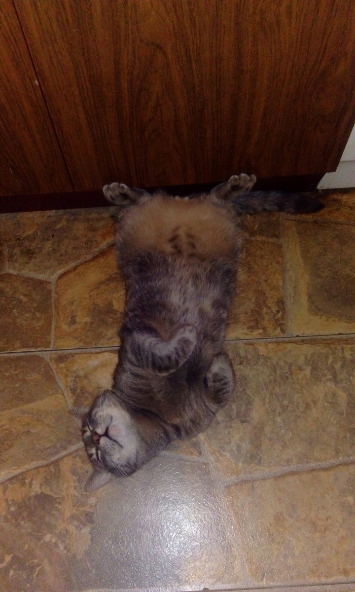 i sleep