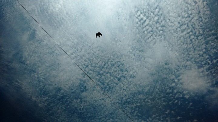 Ekla chalo, fly solo