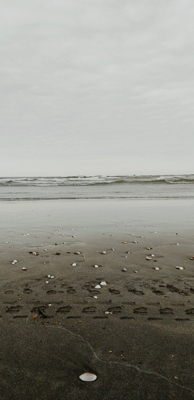 sea