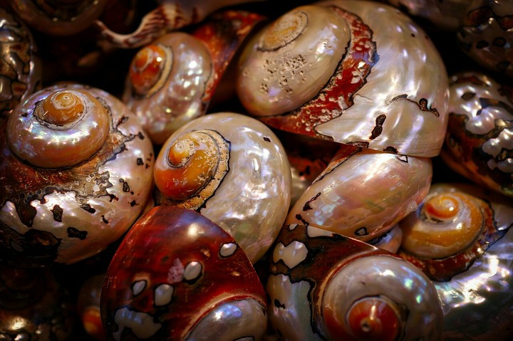 Jewellery