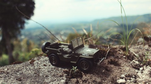 Back To Nature Jeep