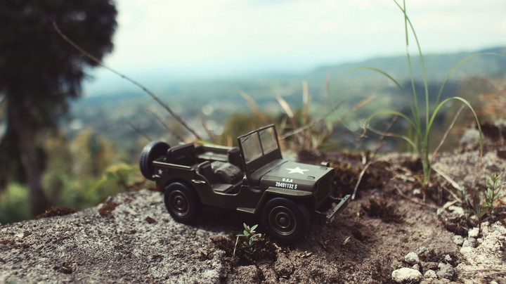 Back To Nature Jeep