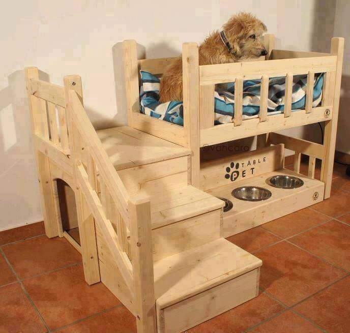 ein Hunde Zimmer