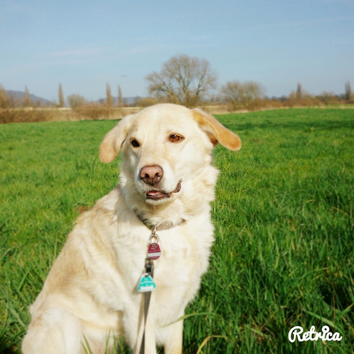 Bella
