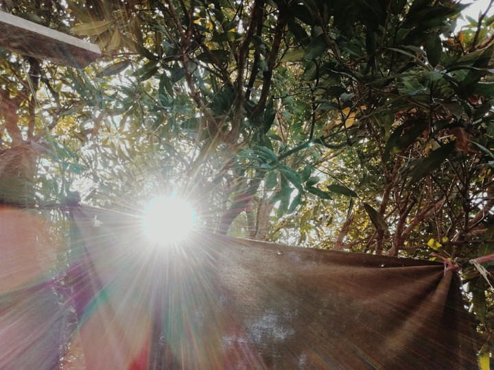 sun