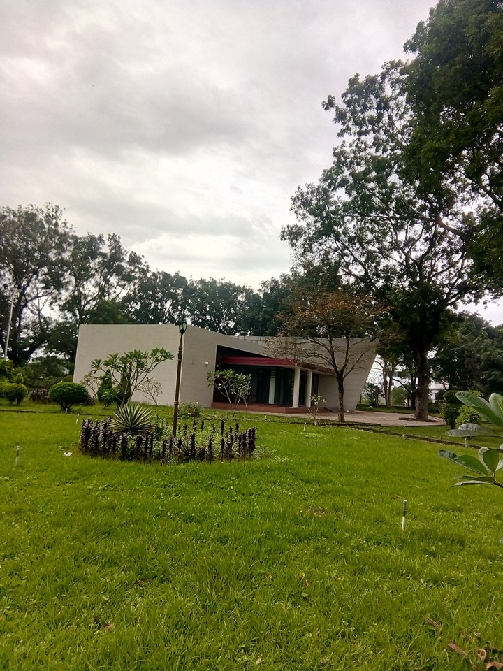 the park