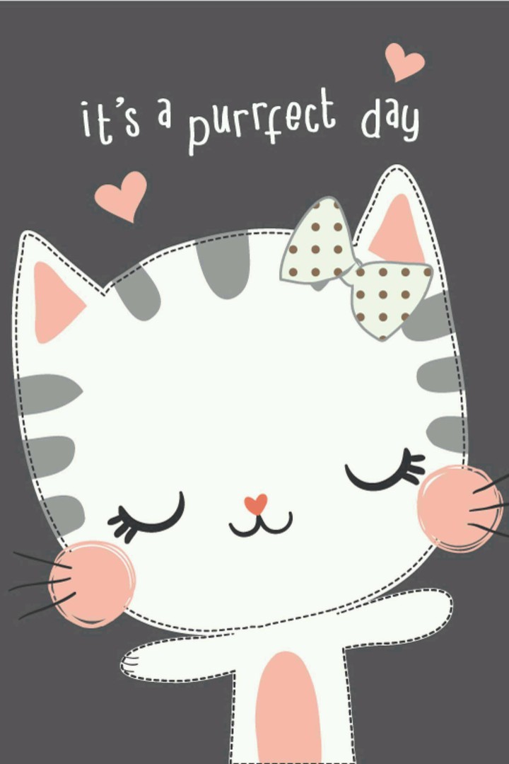 안녕고양이