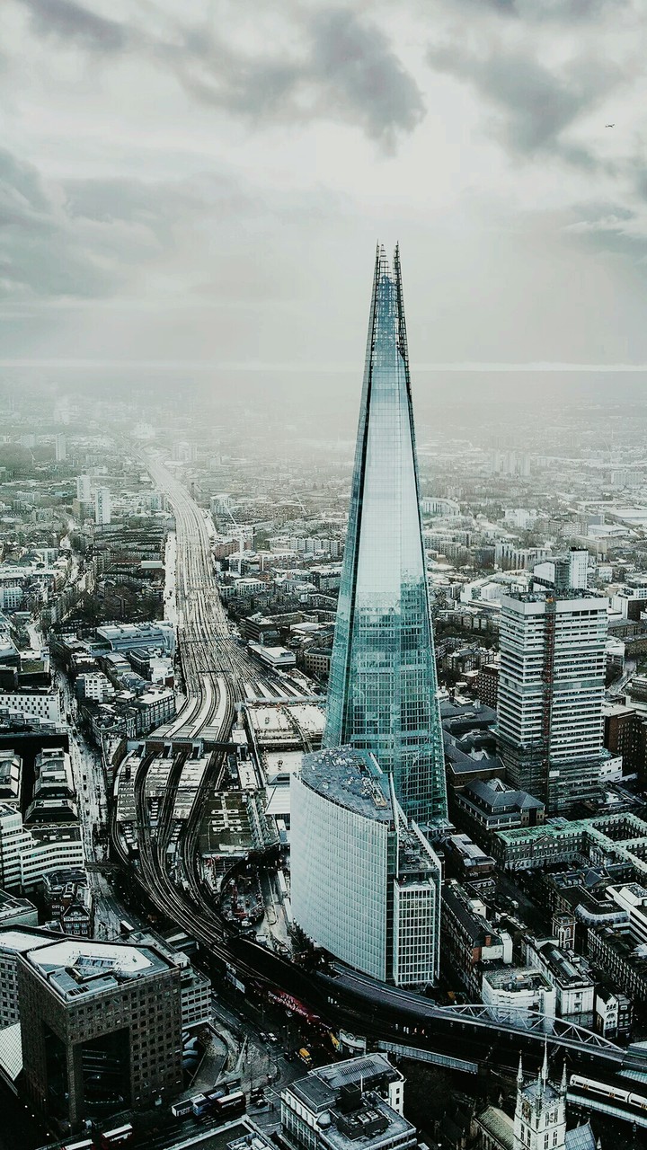 Sky Scrapper