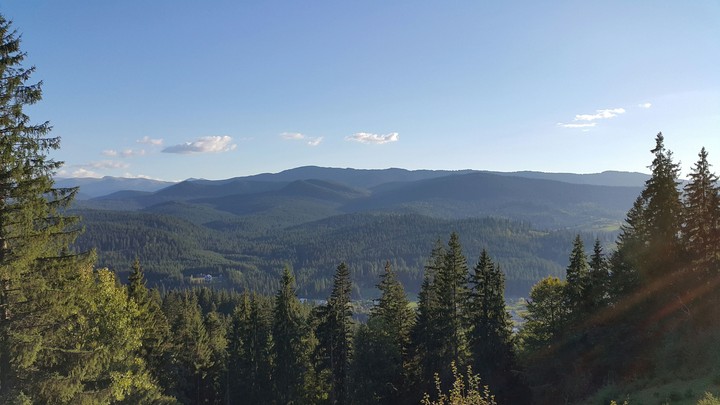 forest, sky, mountains