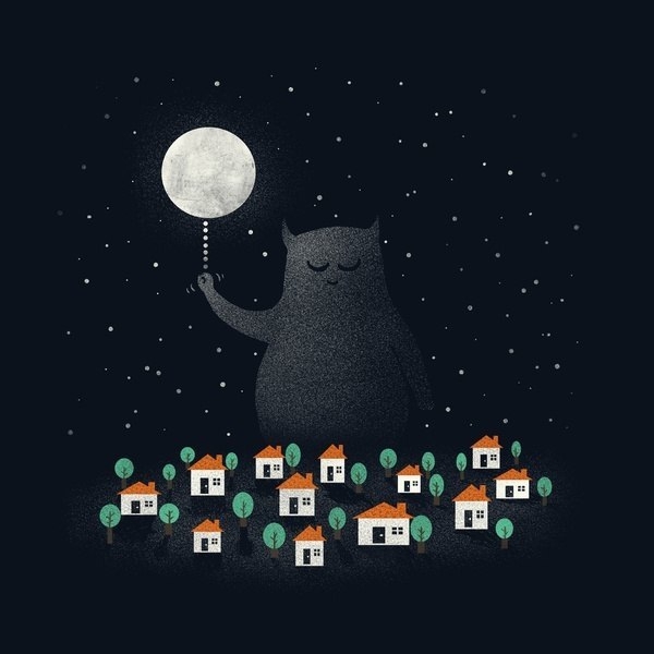котик