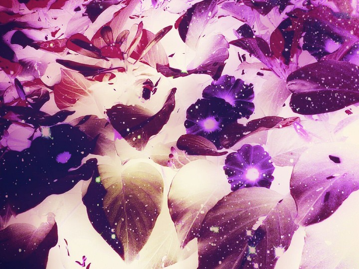 PINK RULES