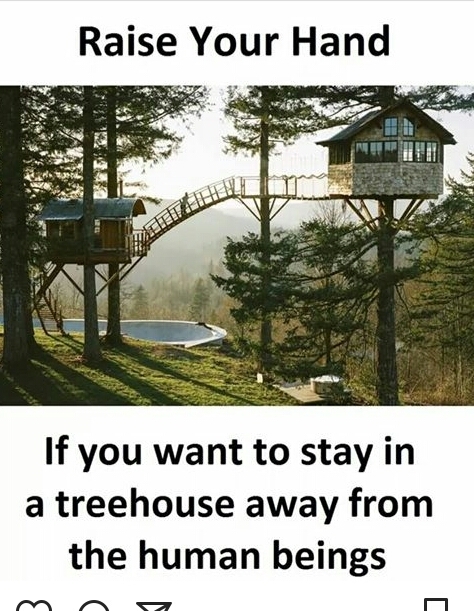 Sweet tree home...