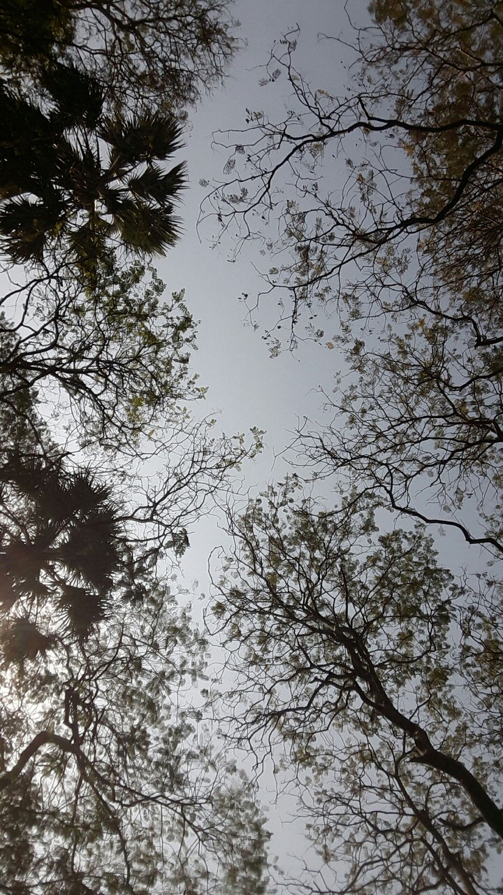 Sky redesigned...!!