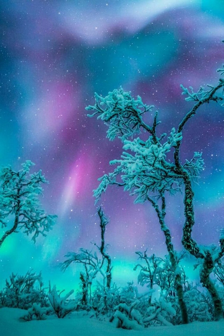 Winter