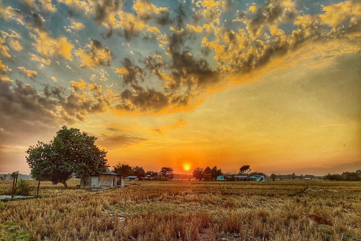 Evening Colours