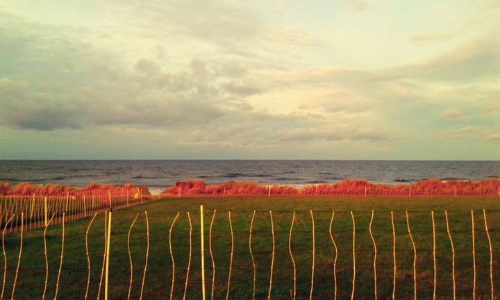 Sea